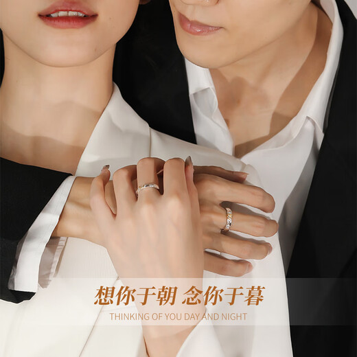 Chinese Gold Sun and Moon Couple Rings A Pair of Proposal Silver Rings Girl Birthday Gifts for Girlfriend and Wife Wedding Anniversary Sun and Moon Couple Rings + Brand Gift Box-Jingsuda