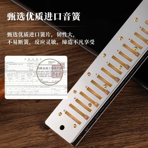 天鹅德国进口音簧天鹅口琴成人复音重音C调高端专业演奏级乐器 28孔复音C调【高端成人演奏】