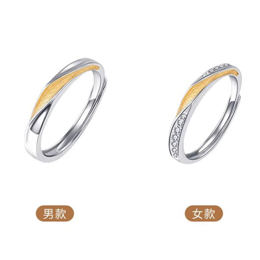 MZMZ platinum ring Mobius pt950 platinum pairing ring for men and women engagement wedding birthday anniversary gift light luxury model-Mobius couple ring