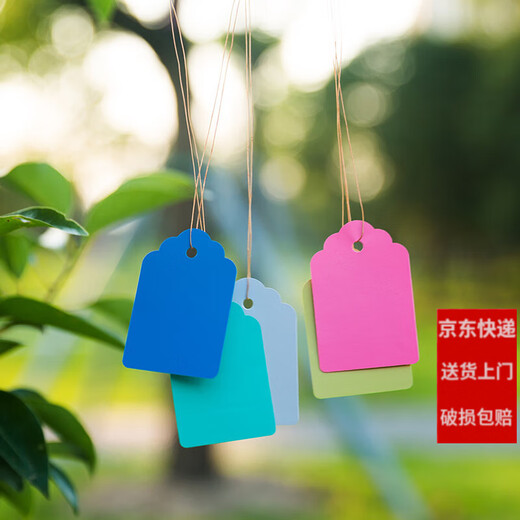 西普顿塑料标记牌书写防水记号吊牌标签牌苗木植物吊签园艺标识牌带线 5*7cm绿100片 