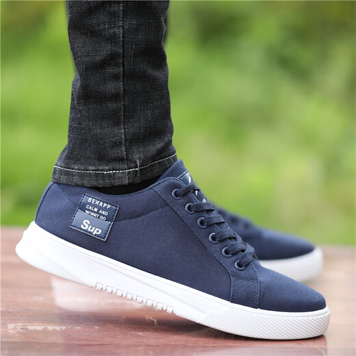 Rote Libelle alte Peking -Stoffschuhe Herrenschuhe 2025 Frühling Neues atmungsaktives Leinwandschuhe Herrensport und Freizeit 6636 Grau 42 Standardcode