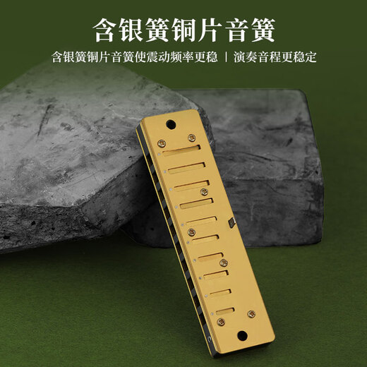 CLARKE英国克拉克10孔布鲁斯口琴十孔蓝调高级成人儿童初学者专业演奏