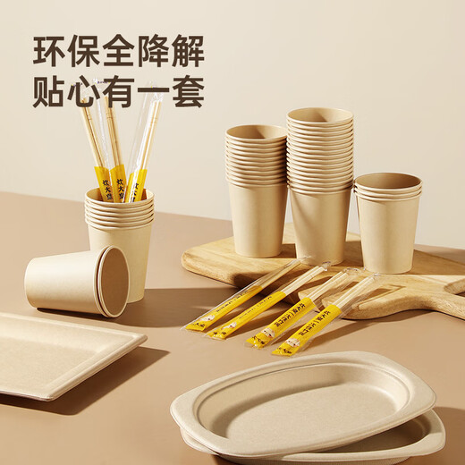 Cui Dahuang sugarcane pulp paper plate disposable tableware waterproof and oil-proof thickened natural color degradable disc three grids 9 inches 20 pieces