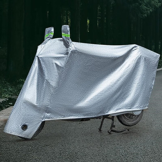 Gongma 2024 Yadi Modern Electric Vehicle Scream Vars Vêtements de voiture Nouveau National Standard TDT1348Z Poussière, vent, siège de pluie Terproof 4xl Yadi Modern Car Clothes (avec tronc)