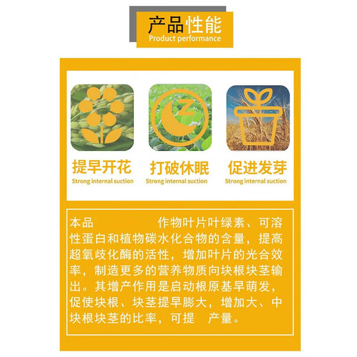 Guoguang Magic King Choline Chloride Garlic Ginger Atractylodes Potato Peanut Radish Yam Expanding Agent 200ml*1 Bottle