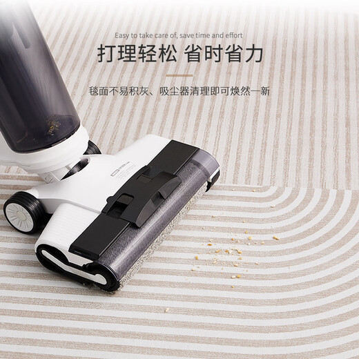 Hua Feihua wabi-sabi style living room carpet new ins cream style coffee table blanket sofa large size non-slip mat stain-resistant calm passage 200CM*300CM