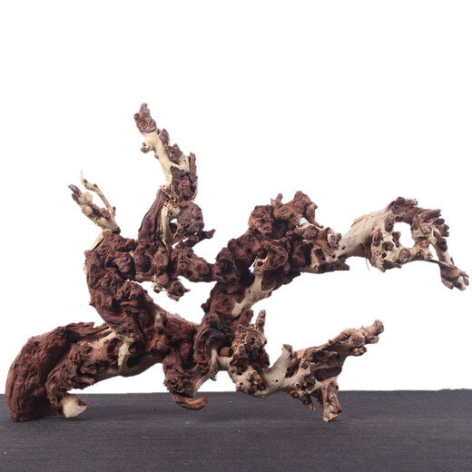 
SLPC fish tank landscaping decoration sunken wood natural dead wood tree root ornament turtle avoids purple teak stump grass tank South American tank Deep khaki color 1047