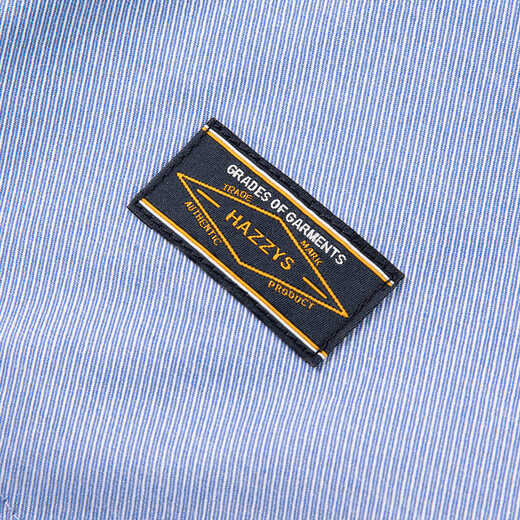 HAZZYS brand children's clothing boys' shirt spring new classic lapel simple handsome fashion casual long-sleeved shirt ice crystal blue 130cm