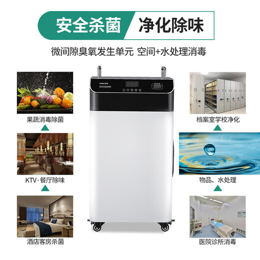 Feili high concentration ozone generator pure water plant pipeline water treatment deodorization sterilization mobile cold storage space dual-purpose disinfection machine 810SY 150 (water treatment dual-purpose with hose)