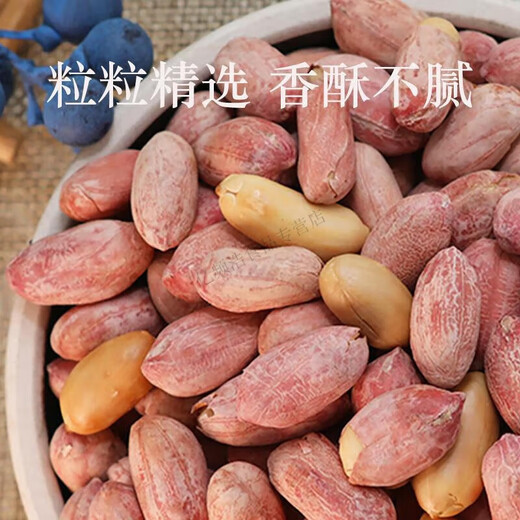 Luolan Five-Spice Peanuts 5Jin Jin equals 0.5kg Canned Garlic Milk Flavored Shelled Cooked Nuts Roasted Seeds Snacks Fried Peanuts for Drinks 1 can Five-Spice Peanuts (500g in total)