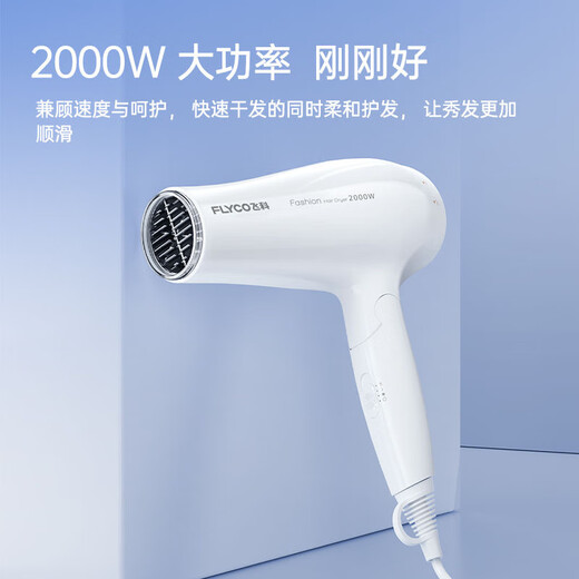 FLYCO 飞科电吹风机家用吹风筒速干恒温冷热风学生宿舍可折叠大功率电吹风筒 FH6232【恒温6档调节 2000W】