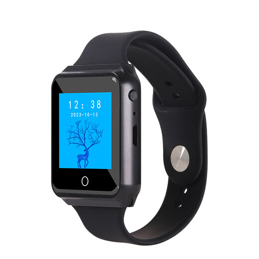 Pinyi new watch Bluetooth MP3 student English Walkman music player touch screen metal mp4 pedometer FM black 4GB