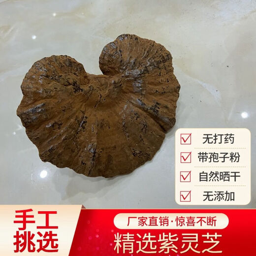 谧鹿天然紫灵芝不苦仿野生含孢子粉食药用菌长柄整枝深山可帮切片 长柄不苦紫灵芝整枝 500g
