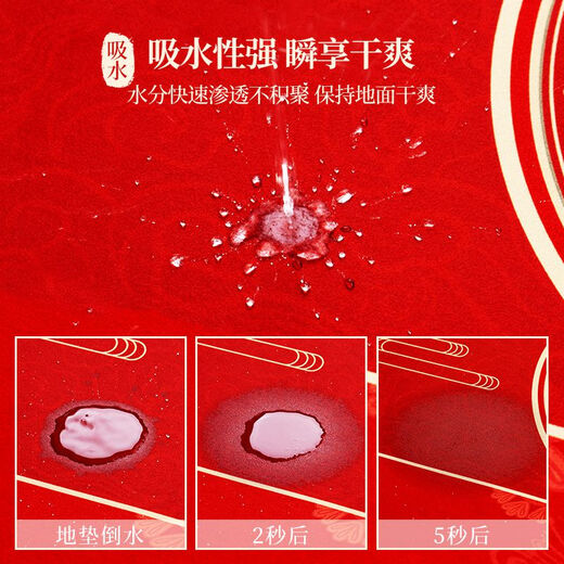 High-End-Kieselgiatom-Schlamm wasserabsorbierende Bodenmatte Eingangstür Chinesischer Stil Goldener Feng Shui Eingangstür Home Schuh Schuh wechseln