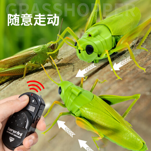 爱帛哆遥控蚂蚱电动玩具小男孩女孩网红仿真会动昆虫爬虫小动物儿童整蛊 [经典版-遥控毛毛虫]绿色款991 均码