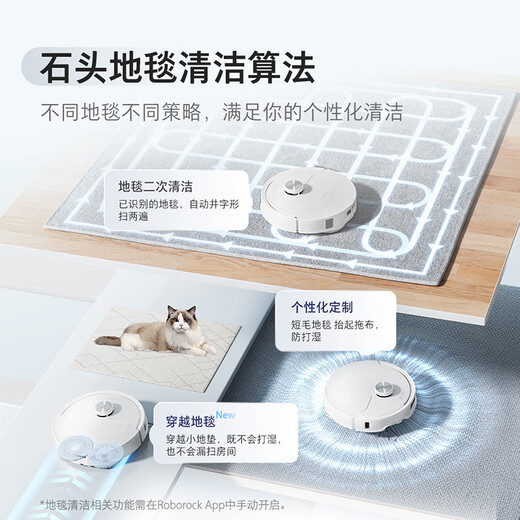 石头（roborock）P10S Pro 扫地机器人 扫拖一体 自动上下水 清洗集尘 拖布免洗 家用自动清洗拖地机 P10S Pro上下水「自动换水」