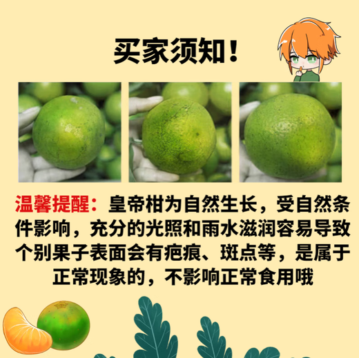 甜萌果蔬正宗广西皇帝柑橘子贡柑贡橘新鲜水果当季现摘水果礼盒中秋送礼 5斤精选装【单果约60mm+】净重4.5斤