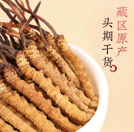冬虫夏草 高海拔正品虫草 传统滋补品 送礼佳品 3根/克 共60根