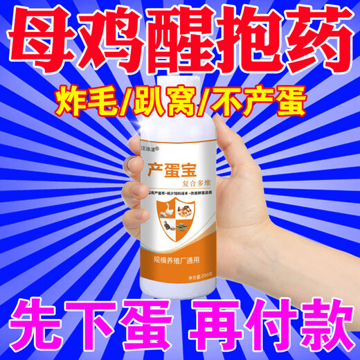 Hen wake-up medicine, poultry no longer nests, chickens lay eggs, egg Duoduo, general feed additive for ducks and goose eggs, 1 bottle 200g