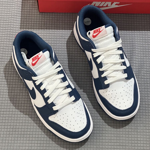 耐克（NIKE）男鞋2025新款夏季Dunk Low低帮板鞋运动鞋轻便舒适透气休闲鞋 DD1391-400蓝色 41