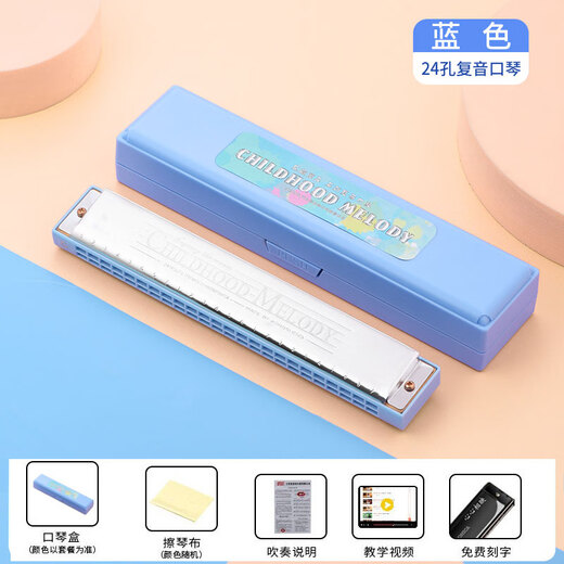 嘉德瑞口琴24孔复音c调初学者学生入门儿童男女自学专用口风琴乐器 C调24孔复音-蓝色 +全套