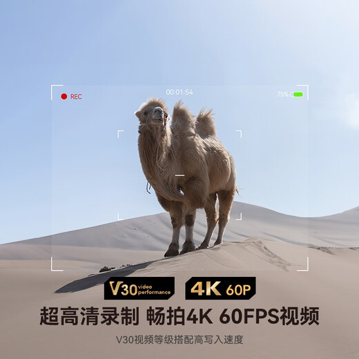 雷克沙（Lexar）128GB SD存储卡 U3 V30 佳能索尼富士尼康相机高速SD卡 读205MB/s 写140MB/s 4K超清录制 SD银卡