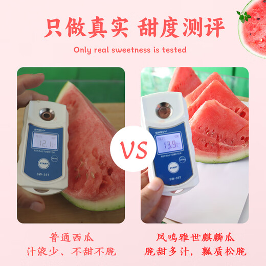 Fengming Yashi Rock Sugar Kirin Watermelon Seeds Red Flesh Watermelon Four Seasons Spring Sweet Watermelon Early Good 8424 Watermelon Seeds 100 capsules