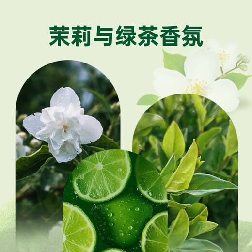 Dettol Healthy Antibacterial Hand Sanitizer, Moisturizing and Protecting, Children and Adults Family Hand Wash, Antibacterial Cleaning, Universal Special Pack, Multiple Scents, Moisturizing 250g + Green Tea 250g