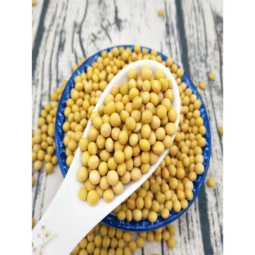 Hongyun Natto Special соевые бобы Очень маленькие 690 маленьких соевых бобов Собственные фасоль, ростки маленькие золотые бобы, специальные для Natto 690 маленьких золотых соевых бобов. Два джин [Джин равен 0,5 кг]