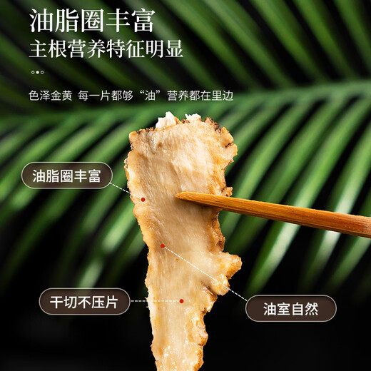同仁堂（TRT）当归片无硫甘肃岷县当归干切片泡水煲汤泡酒滋补养生茶100g/罐