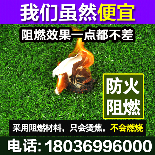 Qingya lawn artificial turf fake grass fence outdoor decoration kindergarten children's playground fake turf artificial fake turf new product does not drop slag - 2cm spring grass refresh and upgrade