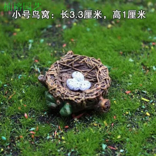 Phoebe gardening micro-landscape ornaments, bird resin crafts, cute simulated bird's nest, gardening bonsai decoration, bird eggs, small bird's nest
