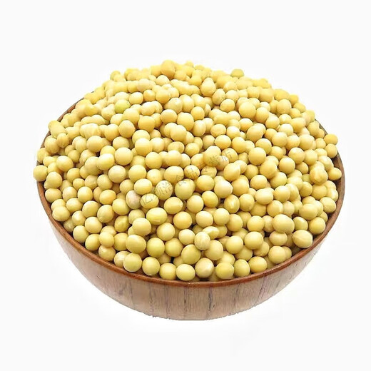 Hongyun Natto Special соевые бобы Очень маленькие 690 маленьких соевых бобов Собственные фасоль, ростки маленькие золотые бобы, специальные для Natto 690 маленьких золотых соевых бобов. Два джин [Джин равен 0,5 кг]
