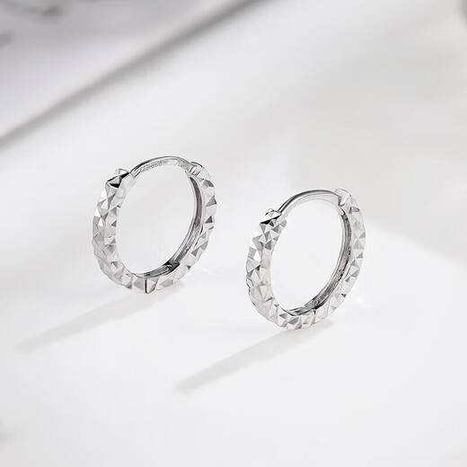 Liuguifu Jewelry PT950 Platinum Earrings Light and Shadow White Gold Stud Earrings for Women PT0200017 1.1g