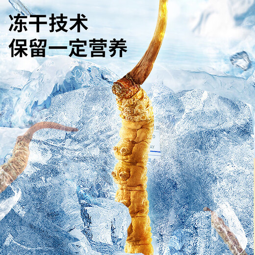 Lei Yun Shang Cordyceps sinensis 3.2 Roots/G 10g Alrededor de 32 cajas de regalo Cordyceps Cajas de regalo para el líder y los ancianos