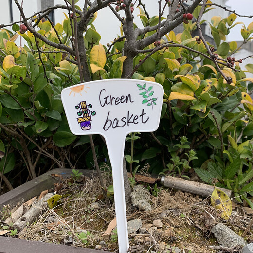 西普顿扇面插地牌园艺花卉加大牌面塑料标示牌可书写指示牌植物标签 多色[高20cm]10支