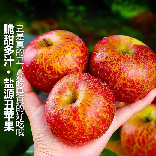 Jingmi Sichuan Daliangshan Ugly Apple Net 4.5Jin Jin is equal to 0.5kg Single fruit 70mm + fresh fruit rock candy heart apple straight from the source