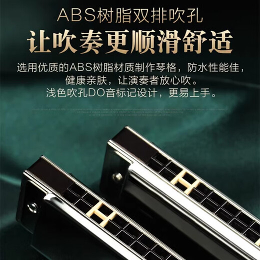 国光进口音簧国光28孔口琴重音复音C调高级成人初学入门专业演奏口琴 典藏版24孔亮黑色重音【音标款】