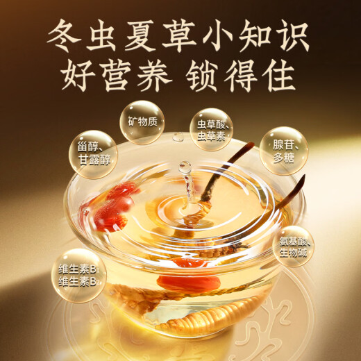 同仁堂品牌冬虫夏草约5根/g2g约10根高端营养营养滋补品长辈北京同仁堂