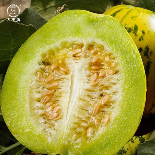 Dayu Balixiang muskmelon seeds cantaloupe old variety tiger skin melon field planting autumn and winter extra large Balixiang muskmelon muskmelon seeds about 30 pieces
