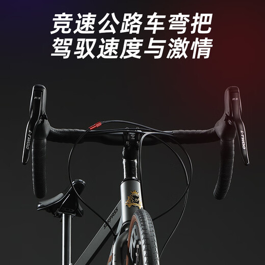
Feige (FLYING PIGEON) Feige Road Bike 700C Sports Car Adult Men and Women Teenagers Elementary and Middle School Students Racing Bike Beyond Steel Frame-Road Handle-Tiol Silver 24 Speed ​​Entry Level