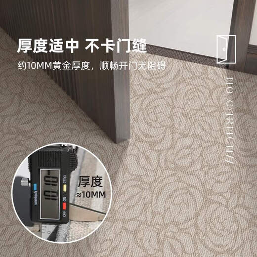 Yonghuan Floor Matte Eingangstür Matte spürt die Tür Eingang Fußmatte schmutzresistente No-Wäsche-Teppich vor der Haushaltstür kann Matten Wuli-14110 1 Stück 100 cm*140 cm verbessertes 9. Generation Dirt-resistente Methode schneiden