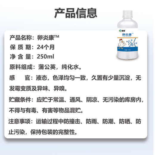 Egg Yankang for male herding pigeons, chickens, ducks and geese, for laying hens, salpingitis, blood shell eggs, for pigeons that do not lay eggs, Ou Yankang*1 bottle, general purpose for chickens, ducks and geese