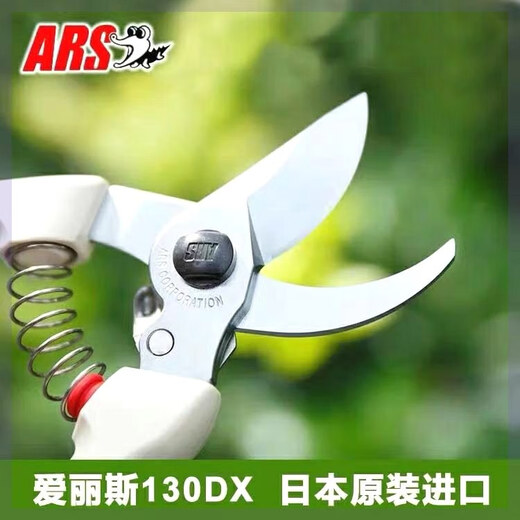 Alice pruning shears Alice 130DX imported from Japan, flower shears, gardening shears, garden scissors, fruit tree shears, original imported shears + spring