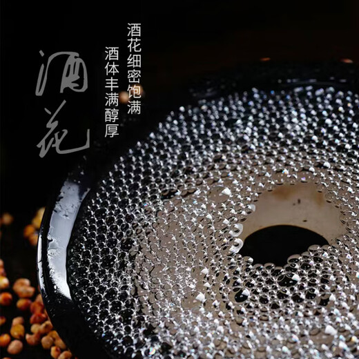 黄金酱酒 贵州茅台镇 白酒 黄金酱酒至尊10号53度 500ml 53度 500mL 1瓶