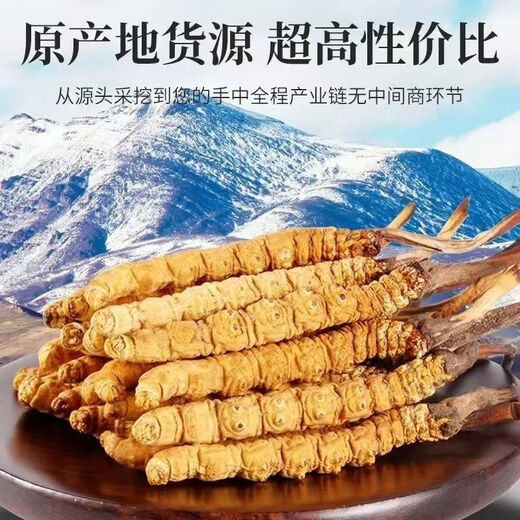 冬虫夏草 藏区雪域高海拔虫草自用实惠 过节送礼 礼盒装 2根/克（每单为1根）