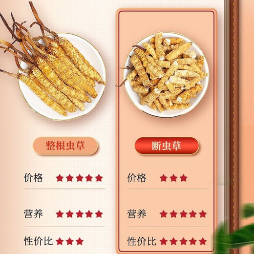 Cordyceps sinensis, high altitude, Cordyceps sinensis selection in the snowy areas of Tibetan areas in the Great Broken Grass pure meat section, dried Cordyceps nourishing Cordyceps sinensis pure meat section 20 grams