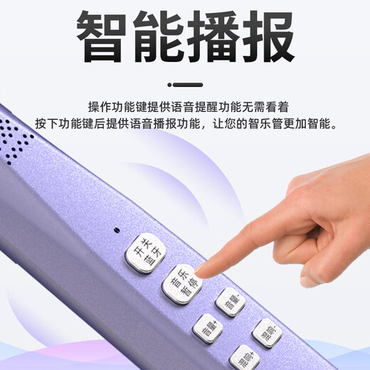 DBAO智乐管自带蓝牙混响智能电子吹管新手学生中老年入门自动笛子 白色+1个吹嘴+赠送充电线