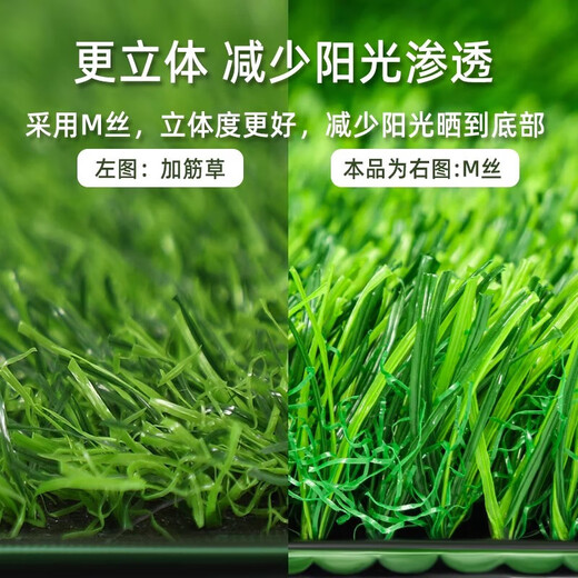 Elegant simulated lawn artificial turf green plastic carpet roof artificial outdoor sun room glass roof lawn mat special 2cm spring grass 3m wide * 2m long sun protection and heat insulation