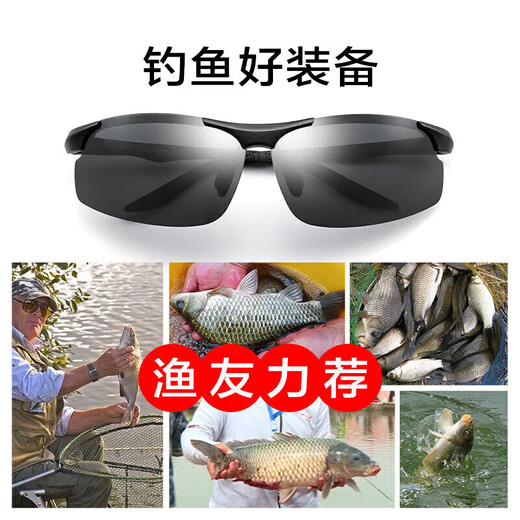 Pulais photochromic polarized sunglasses, sunglasses for men, special for riding, fishing and driving, 8003 photochromic mirrors